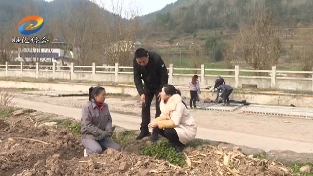 节后上班第一天 收假收心忙工作.mp4_20190211_193902.883.jpg