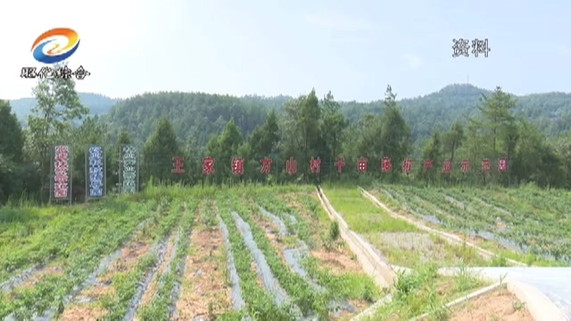 我区建成特色产业科技示范基地5个.mp4_20190220_191937.867.jpg