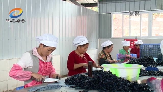 我区大力推动特色产业深度融合发展.mp4_20190220_191900.259.jpg