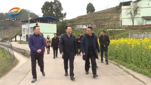 赵文峤来我区调研宣传思想文化工作.mp4_20190305_192922.469.jpg