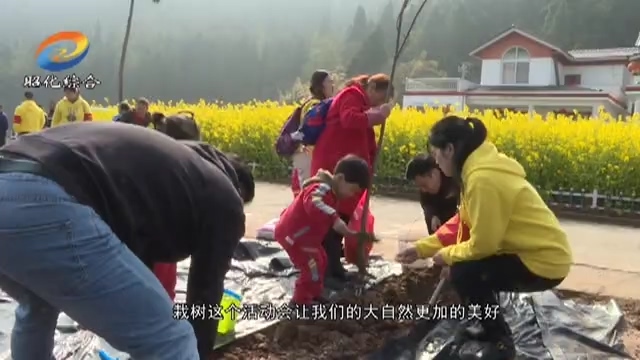 春色满晒金 义务植树忙.mp4_20190311_204556.203.jpg