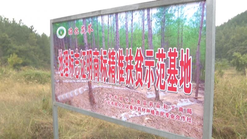 走绿色发展之路 开生态富民之花.mpg_20201030_185337.820.jpg