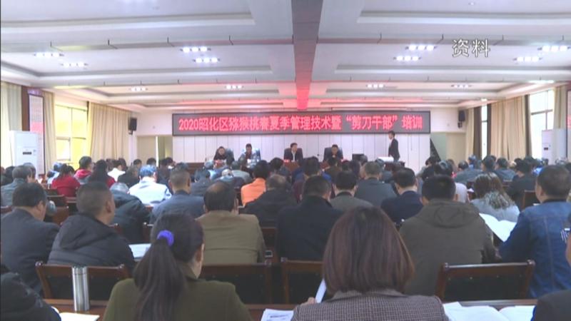 全省特色水果产业提质增效专题培训会在我区召开.mpg_20201105_183829.575.jpg