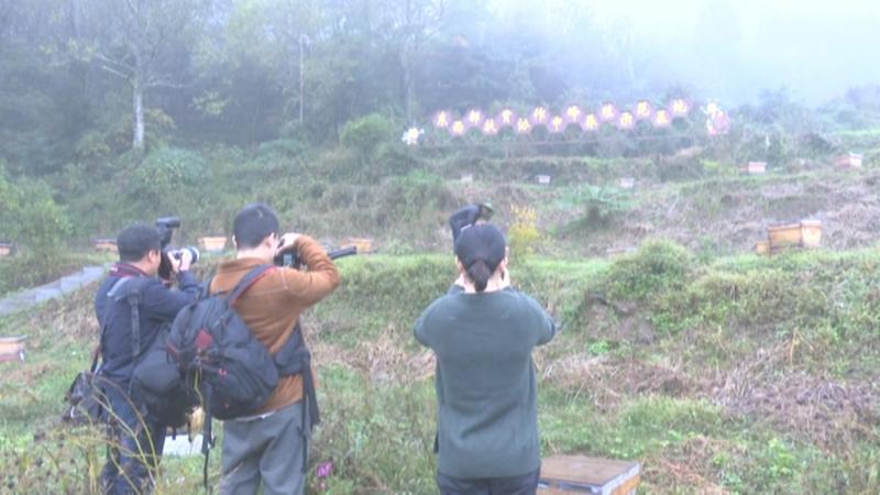 浙江媒体采访团来我区开展摄影采访交流活动.mpg_20201102_192821.865.jpg