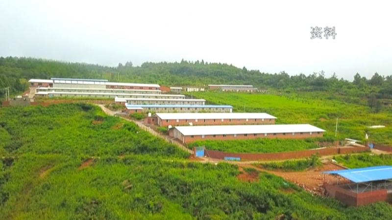 我区聚力现代畜牧业高质量发展.mpg_20201109_193711.240.jpg
