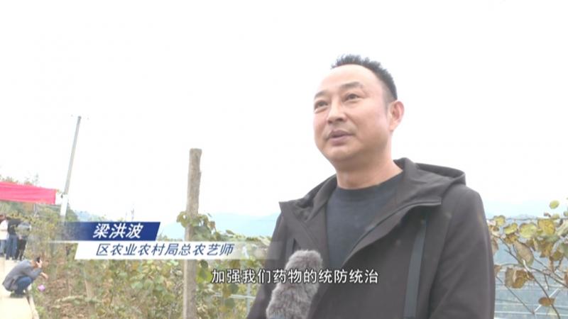 强化技术培训 助力群众增收.mpg_20201111_184223.160.jpg