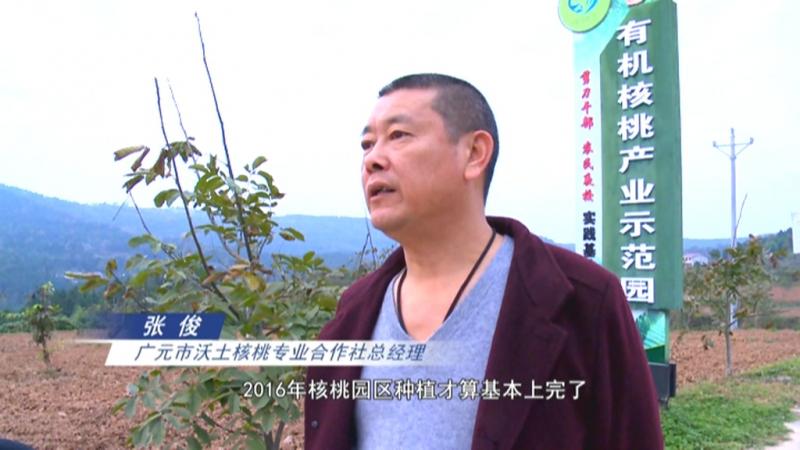 张俊:建好核桃园 铺宽致富路.mpg_20201119_192821.242.jpg