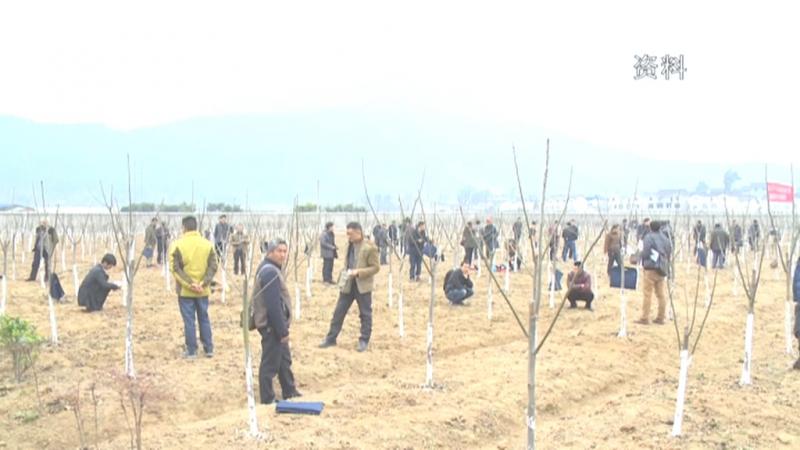 强化技术培训 提升产业质效.mpg_20201120_192453.674.jpg