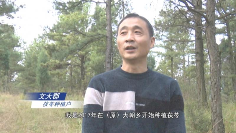文大郡:当好技术“尖兵” 提升产业质效.mpg_20201116_192108.962.jpg