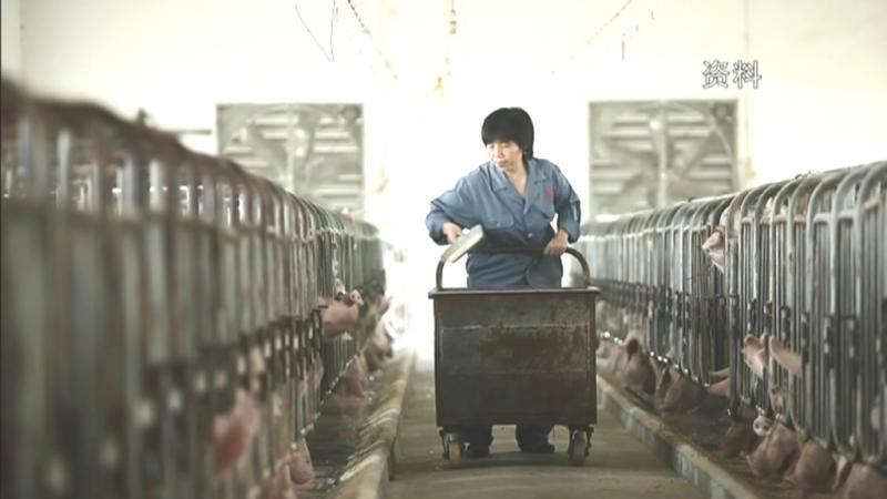 用好捐赠资金 助推生猪稳产保供.mpg_20201123_192153.848.jpg