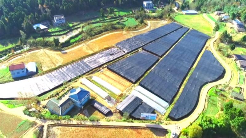 发展镇域经济 助力乡村振兴.mpg_20201207_185544.296.jpg