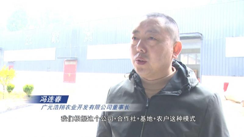 冯连春:一抹乡愁燃起返乡情 广阔农村大有作为.mpg_20201209_183531.193.jpg