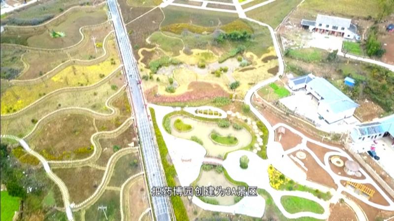 发展高效农林产业 打造乡村振兴新引擎.mpg_20201209_183449.448.jpg
