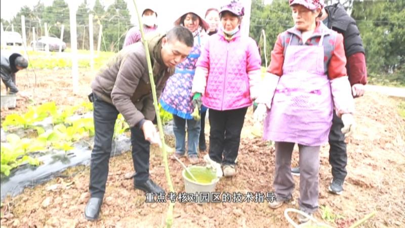 推行“园长制” 助力乡村产业振兴.mpg_20201218_192410.063.jpg