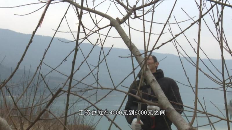 开辟三大路径 提高就业创业质量.mpg_20201223_193110.644.jpg