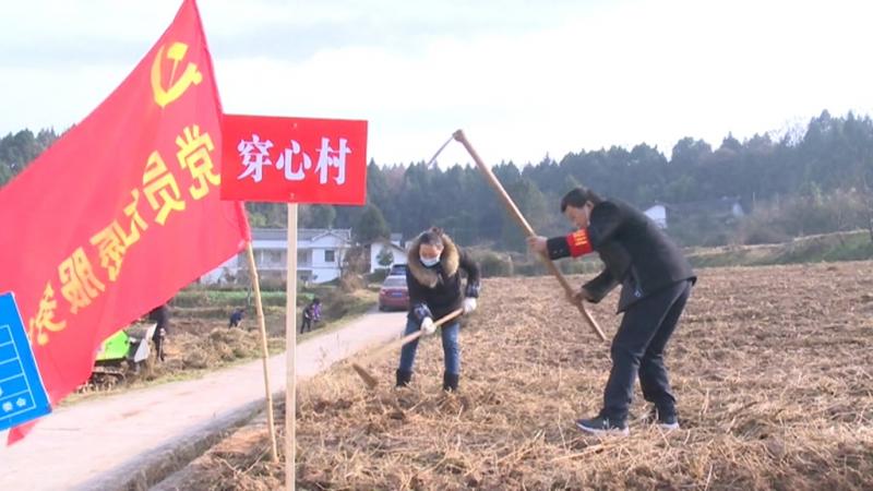 党员志愿者齐参与 共建共享优美环境.mpg_20201225_191846.538.jpg