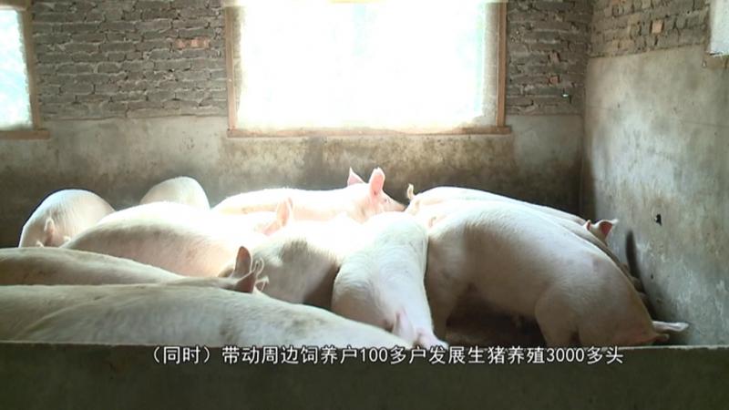 推动生猪产能恢复 保障市民“菜篮子”供给.mpg_20201225_191931.858.jpg