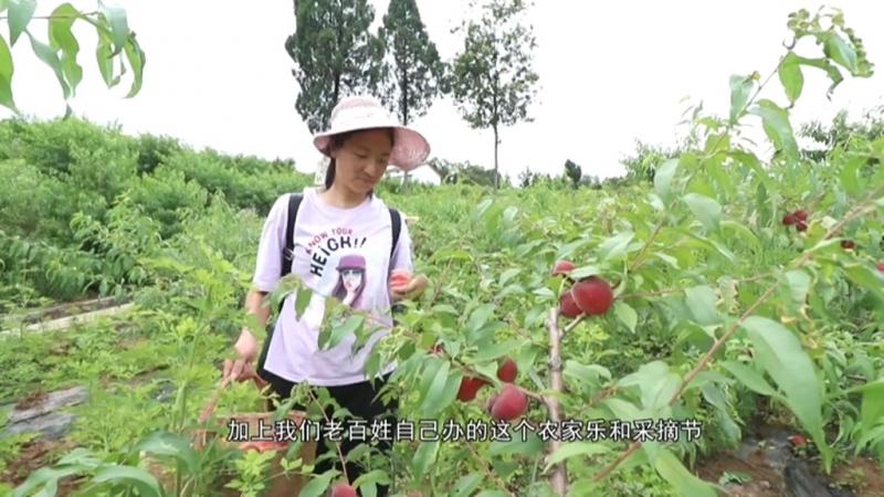 加快现代农业园区发展 实现从“万亩园”到“亩万元”.mpg_20201229_184835.561.jpg