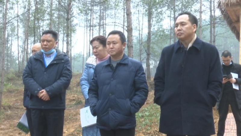 全市现代林业园区建设暨笋用竹产业发展流动现场会.mpg_20210107_193642.682.jpg