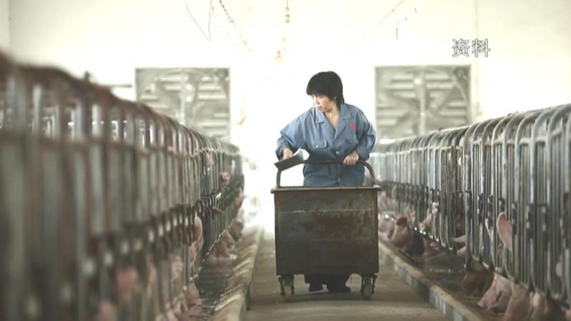 强化政策扶持 推动生猪恢复生产.mpg_20210120_191339.916.jpg