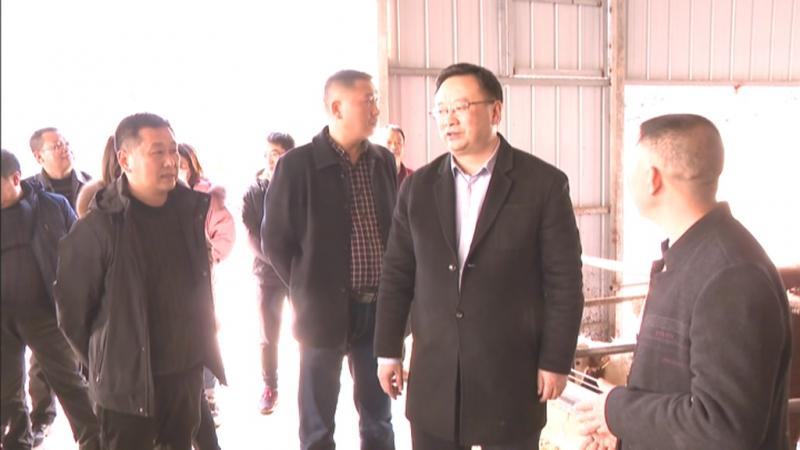 龙兆学调研肉牛羊和土鸡产业发展情况.mpg_20210128_191620.285.jpg