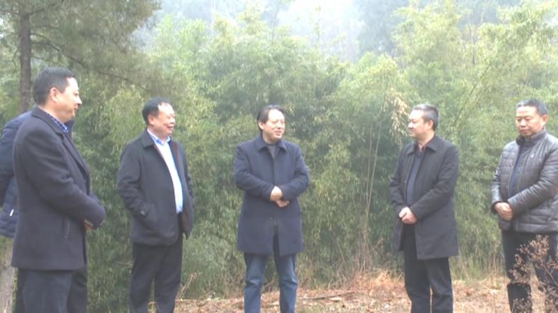 石含玖督导调研王家镇河(湖)长制、森林防灭火工作.mpg_20210205_192004.907.jpg