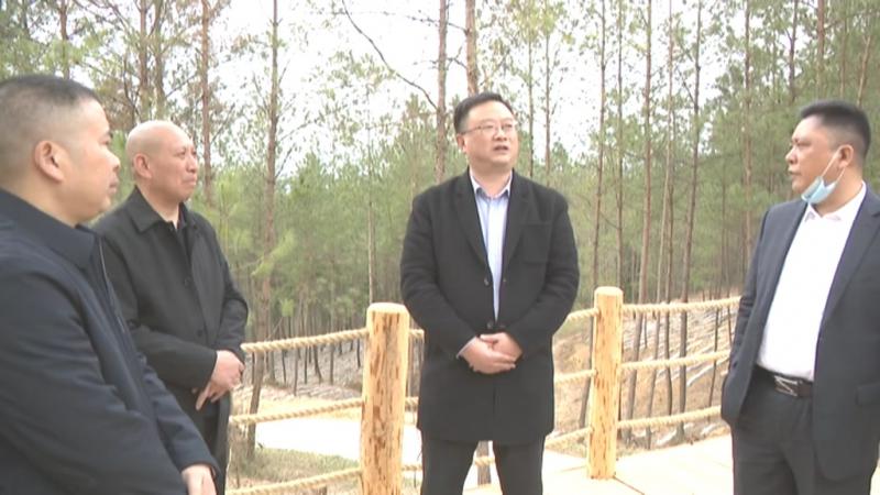 龙兆学节前检查森林防火、疫情防控等工作.mpg_20210209_192449.156.jpg