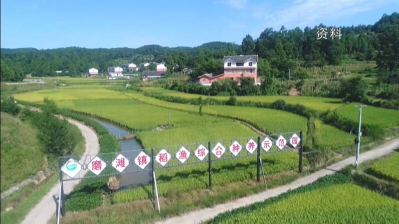 我省首个山区稻渔综合种养省级地方标准发布.mpg_20210223_193346.627.jpg