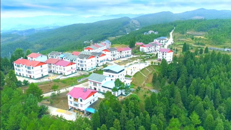 建立农房安全保障机制 奋力助推乡村振兴.mpg_20210302_184124.181.jpg