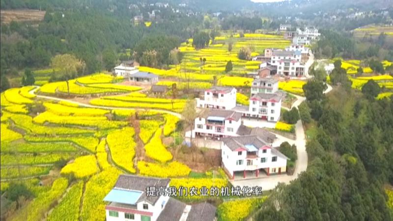 打造万亩油菜基地 助力乡村振兴.mpg_20210308_193936.225.jpg