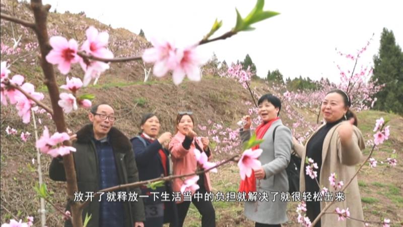 桃花盛开春意浓.mpg_20210310_190201.362.jpg