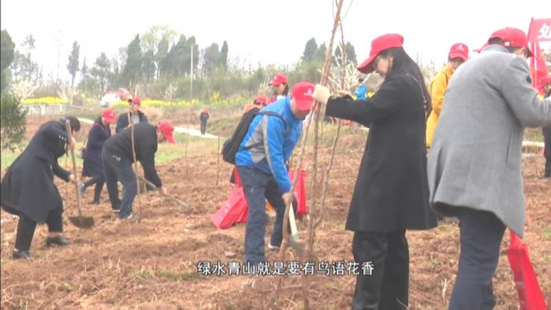 川渝携手 为蜀道添新绿.mpg_20210312_191443.826.jpg