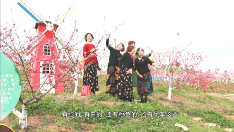 桃博园千亩桃花连片绽放.mpg_20210315_192247.776.jpg