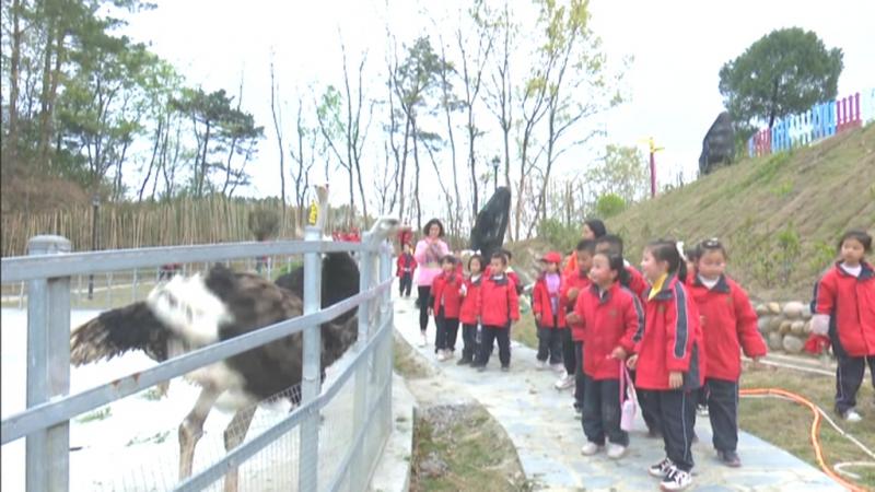 春光无限好 研学正当时.mpg_20210319_193123.410.jpg