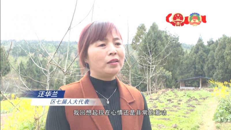 汪华兰:致富路上的领头雁 群众信任的“代言人”.mpg_20210323_220306.443.jpg