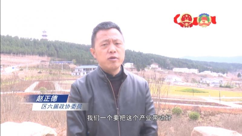 赵正德:当好示范引领 履行委员职责.mpg_20210323_220329.324.jpg