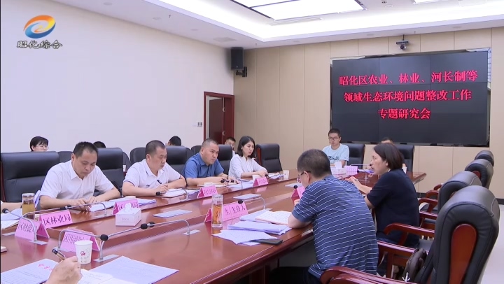 我区农业、林业、河长制等领域生态环境问题整改工作.mp4_20210705_200407.241.jpg