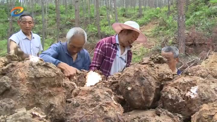 我区1专合社获评国家农民合作社示范社.mp4_20210709_193108.756.jpg