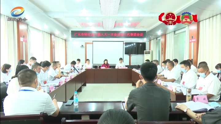 5区八届人大一次会议进行分团审议.mp4_20210908_231223.735.jpg